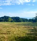 Парцел в Монтана, в.з. Запад