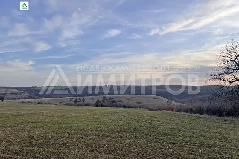 Парцел в Шумен, Нови пазар