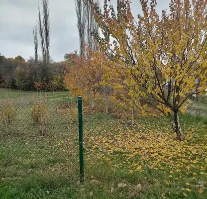 Photo 3 — Plot in Pernik, Cyrkva