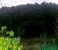 Снимка 5 — Парцел в Перник, Църква