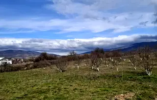 Парцел в Перник, Църква