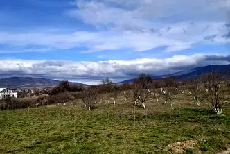 Парцел в Перник, Църква