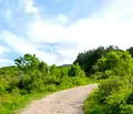 Снимка 4 — Парцел в Пловдив, Перущица