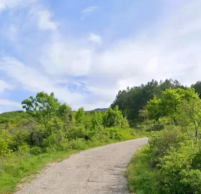 Photo 4 — Plot in Oblast Plovdiv, Perushtica