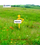 Парцел в Плевен, Дружба 4