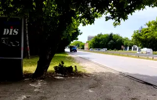 Парцел в Плевен, м-т Кожухарска чешма