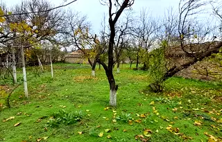 Парцел в Шумен, Плиска