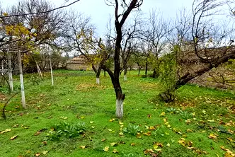 Парцел в Шумен, Плиска