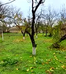 Парцел в Шумен, Плиска