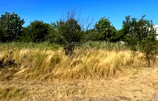 Парцел в Пловдив, Беломорски