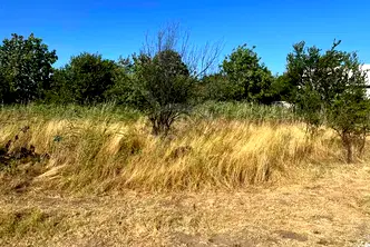 Парцел в Пловдив, Беломорски