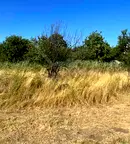 Парцел в Пловдив, Беломорски