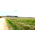 Снимка 2 — Парцел в Пловдив, Беломорски