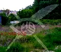 Снимка 2 — Парцел в Пловдив, Христо Смирненски