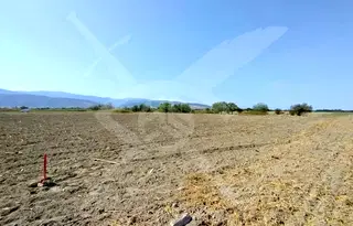 Парцел в Пловдив, Коматево