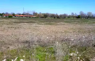 Парцел в Пловдив, Тракия