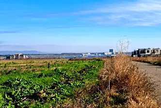 Парцел в Бургас, Поморие