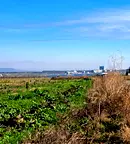 Парцел в Бургас, Поморие