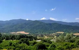 Парцел в София, Правец