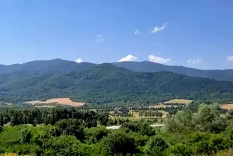Парцел в София, Правец