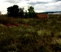 Снимка 4 — Парцел в Перник, Радомир
