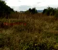 Снимка 5 — Парцел в Перник, Радомир