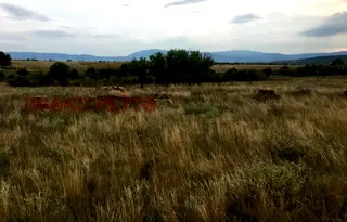 Парцел в Перник, Радомир