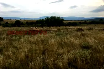 Парцел в Перник, Радомир