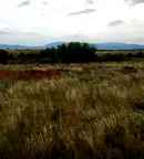 Парцел в Перник, Радомир