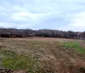 Снимка 4 — Парцел в Раз, Орел