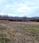 Парцел в Раз, Орел
