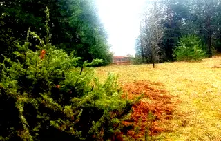 Парцел в Благоевград, Разлог