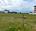 Снимка 5 — Парцел в Благоевград, Разлог