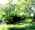 Снимка 2 — Парцел в Русе, Дружба 1