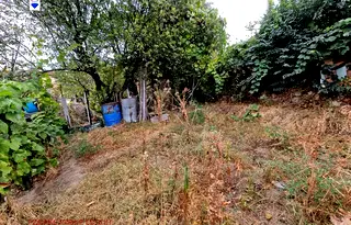 Парцел в Русе, Веждата