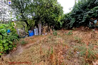 Парцел в Русе, Веждата