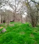 Парцел в София, с. Алдомировци