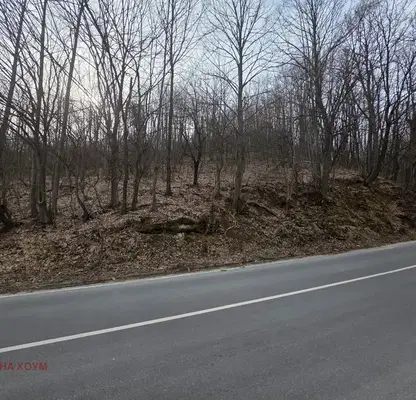 Photo 4 — Plot in Oblast Lovech, Balkanec