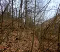 Снимка 3 — Парцел в Ловеч, с. Балканец