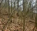 Снимка 4 — Парцел в Ловеч, с. Балканец