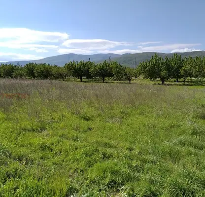 Photo 2 — Plot in Plovdiv, Belashtica