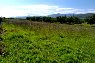 Парцел в Пловдив, с. Белащица