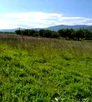 Парцел в Пловдив, с. Белащица