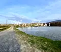 Снимка 4 — Парцел в Пловдив, с. Белащица