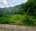 Снимка 3 — Парцел в Ловеч, с. Бели Осъм