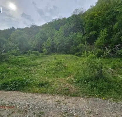 Photo 3 — Plot in Lovech, Beli Osym