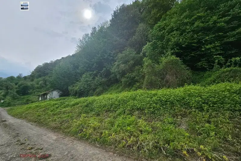 Plot in Lovech, Beli Osym
