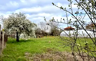 Парцел в Пловдив, с. Белозем