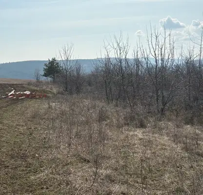 Photo 3 — Plot in Bistrica