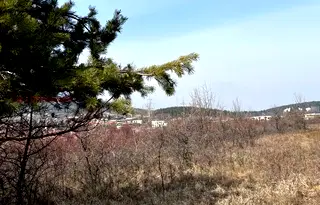 Парцел в с. Бистрица